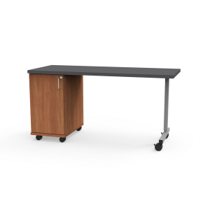 Appleton Teacher's Desk with Beveled Lotz Armor Edge™ HPL Rectangle Top, Adjustable Shelf Cabinet on Left Hand Side, UNET Leg, 60" W x 24" D