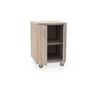 REplay® Mobile Base Cabinet Unit with Double Doors, Adjustable Shelf, and Casters - 24"W x 23"D x 35.5"H
