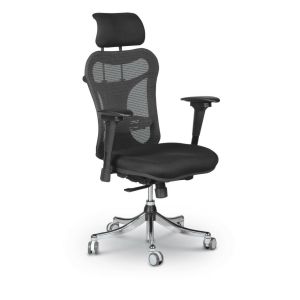 MooreCo Ergo Ex Ergonomic Office Chair