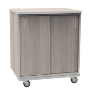 REplay® Mobile Base Cabinet Unit with Double Sliding Doors, Adjustable Shelf, and Casters - 36"W x 23"D x 35.5"H