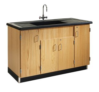 Diversified Spaces Science Lab Clean Up Sink Station