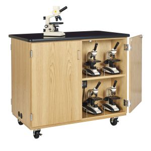 Diversified Spaces Micro-Mobile Charging Station