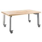 NPS®  Titan Table, 24" x 60", Butcherblock Top