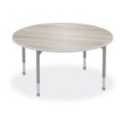 MooreCo Hiearchy Round Activity Table, Youth Height Platinum Legs, 12" – 18"H x 42"W x 42"D